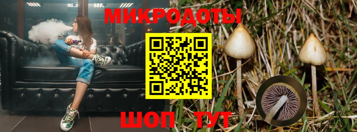 Галлюциногенные грибы Magic Shrooms  Вход с VPN  где купить   Саянск 