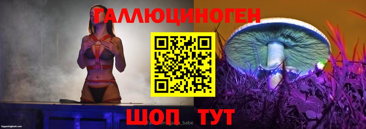 Псилоцибиновые грибы Psilocybine cubensis Саянск